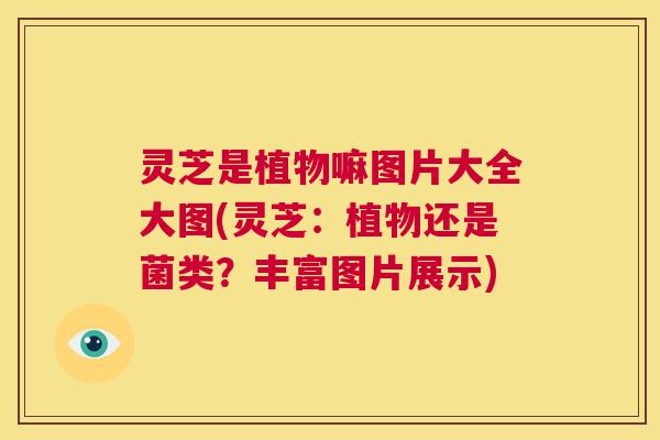 灵芝是植物嘛图片大全大图(灵芝:植物还是菌类?丰富图片展示) 第1张 灵芝是植物嘛图片大全大图(灵芝:植物还是菌类?丰富图片展示) 第1张