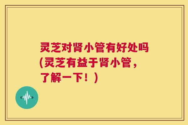 灵芝对肾小管有好处吗(灵芝有益于肾小管,了解一下!) 第1张 灵芝对肾小管有好处吗(灵芝有益于肾小管,了解一下!) 第1张