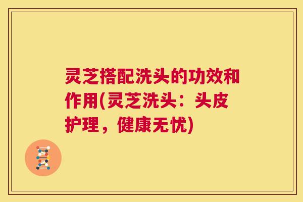 灵芝搭配洗头的功效和作用(灵芝洗头:头皮护理,健康无忧) 第1张 灵芝搭配洗头的功效和作用(灵芝洗头:头皮护理,健康无忧) 第1张