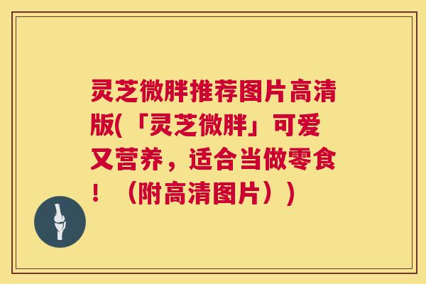 灵芝微胖推荐图片高清版(「灵芝微胖」可爱又营养,适合当做零食!(附高清图片)) 第1张 灵芝微胖推荐图片高清版(「灵芝微胖」可爱又营养,适合当做零食!(附高清图片)) 第1张