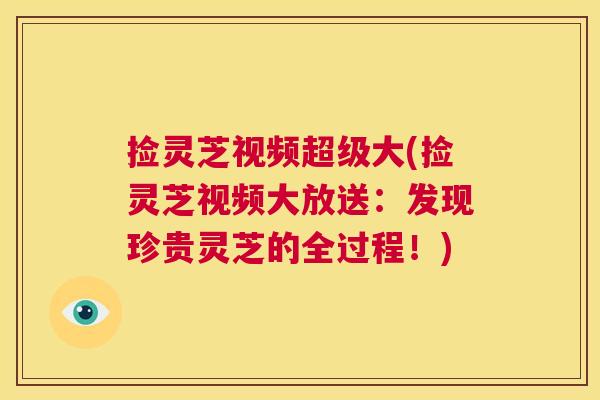 捡灵芝视频超级大(捡灵芝视频大放送：发现珍贵灵芝的全过程！)  第1张