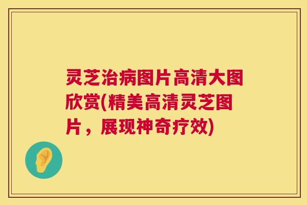 灵芝治病图片高清大图欣赏(精美高清灵芝图片,展现神奇疗效) 第1张 灵芝治病图片高清大图欣赏(精美高清灵芝图片,展现神奇疗效) 第1张