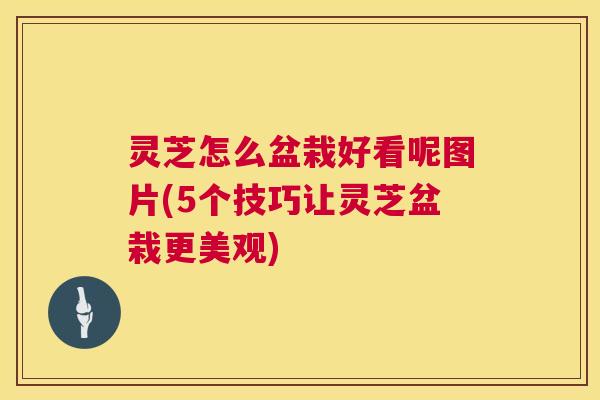 灵芝怎么盆栽好看呢图片(5个技巧让灵芝盆栽更美观) 第1张 灵芝怎么盆栽好看呢图片(5个技巧让灵芝盆栽更美观) 第1张