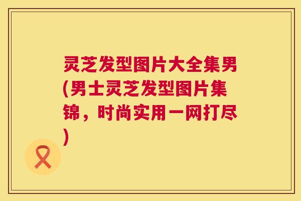 灵芝发型图片大全集男(男士灵芝发型图片集锦，时尚实用一网打尽)  第1张