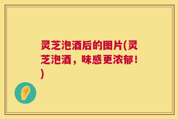 灵芝泡酒后的图片(灵芝泡酒,味感更浓郁!) 第1张 灵芝泡酒后的图片(灵芝泡酒,味感更浓郁!) 第1张