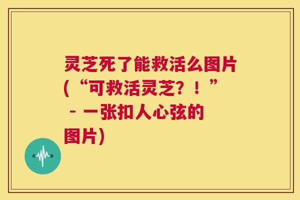 灵芝死了能救活么图片(“可救活灵芝?!” - 一张扣人心弦的图片) 第1张 灵芝死了能救活么图片(“可救活灵芝?!” - 一张扣人心弦的图片) 第1张