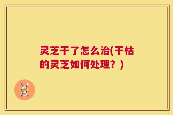 灵芝干了怎么治(干枯的灵芝如何处理?) 第1张 灵芝干了怎么治(干枯的灵芝如何处理?) 第1张