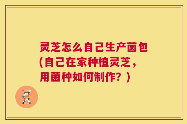 灵芝怎么自己生产菌包(自己在家种植灵芝,用菌种如何制作?) 第1张 灵芝怎么自己生产菌包(自己在家种植灵芝,用菌种如何制作?) 第1张
