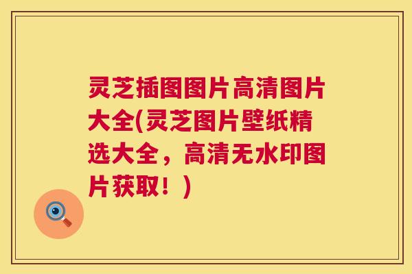 灵芝插图图片高清图片大全(灵芝图片壁纸精选大全,高清无水印图片获取!) 第1张 灵芝插图图片高清图片大全(灵芝图片壁纸精选大全,高清无水印图片获取!) 第1张