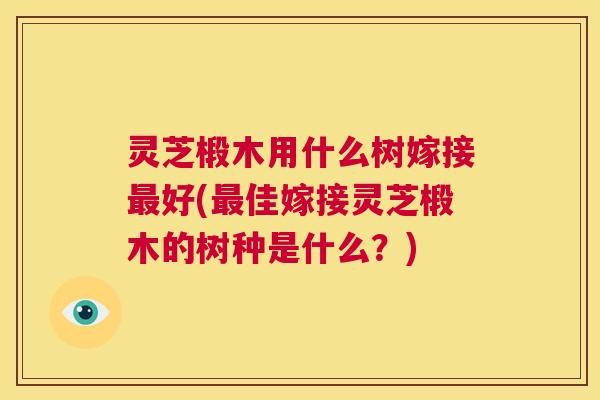 灵芝椴木用什么树嫁接最好(最佳嫁接灵芝椴木的树种是什么?) 第1张 灵芝椴木用什么树嫁接最好(最佳嫁接灵芝椴木的树种是什么?) 第1张