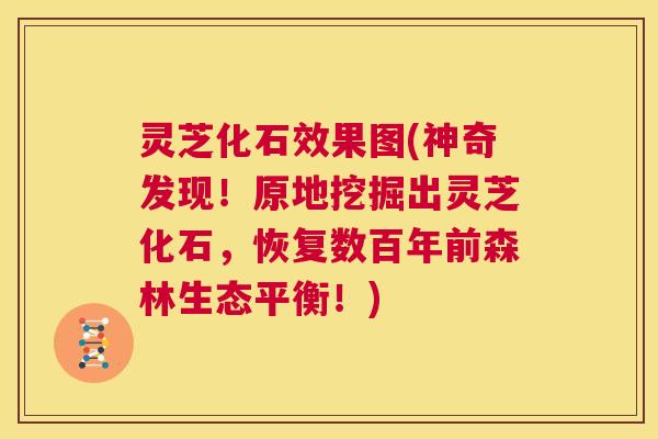 灵芝化石效果图(神奇发现!原地挖掘出灵芝化石,恢复数百年前森林生态平衡!) 第1张 灵芝化石效果图(神奇发现!原地挖掘出灵芝化石,恢复数百年前森林生态平衡!) 第1张