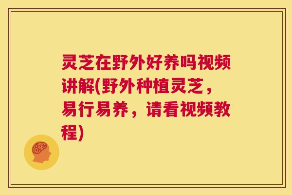 灵芝在野外好养吗视频讲解(野外种植灵芝,易行易养,请看视频教程) 第1张 灵芝在野外好养吗视频讲解(野外种植灵芝,易行易养,请看视频教程) 第1张