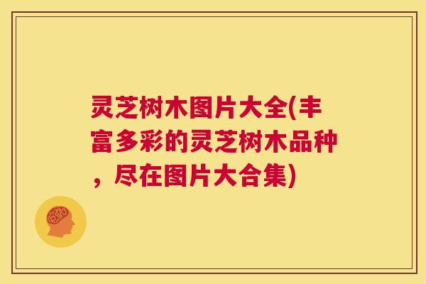 灵芝树木图片大全(丰富多彩的灵芝树木品种,尽在图片大合集) 第1张 灵芝树木图片大全(丰富多彩的灵芝树木品种,尽在图片大合集) 第1张
