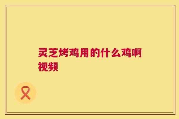 灵芝烤鸡用的什么鸡啊视频  第1张