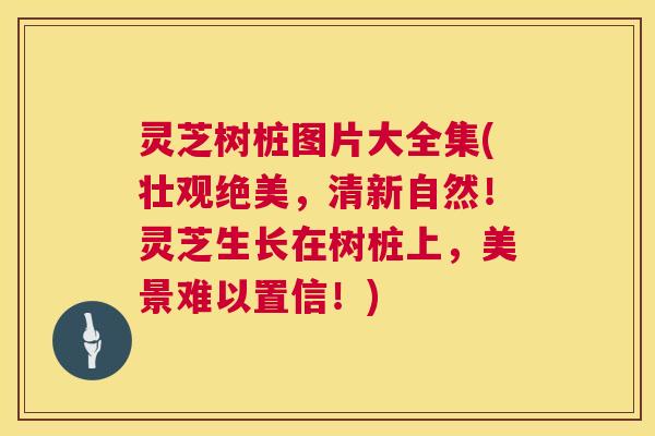 灵芝树桩图片大全集(壮观绝美,清新自然!灵芝生长在树桩上,美景难以置信!) 第1张 灵芝树桩图片大全集(壮观绝美,清新自然!灵芝生长在树桩上,美景难以置信!) 第1张