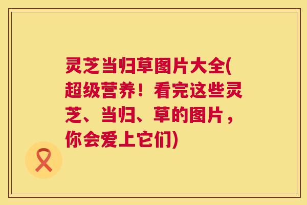 灵芝当归草图片大全(超级营养!看完这些灵芝、当归、草的图片,你会爱上它们) 第1张 灵芝当归草图片大全(超级营养!看完这些灵芝、当归、草的图片,你会爱上它们) 第1张