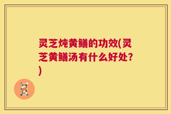 灵芝炖黄鳝的功效(灵芝黄鳝汤有什么好处?) 第1张 灵芝炖黄鳝的功效(灵芝黄鳝汤有什么好处?) 第1张