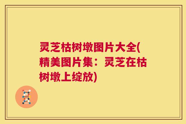 灵芝枯树墩图片大全(精美图片集：灵芝在枯树墩上绽放)  第1张