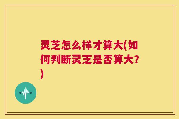 灵芝怎么样才算大(如何判断灵芝是否算大?) 第1张 灵芝怎么样才算大(如何判断灵芝是否算大?) 第1张