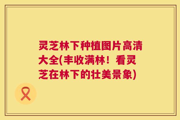 灵芝林下种植图片高清大全(丰收满林!看灵芝在林下的壮美景象) 第1张 灵芝林下种植图片高清大全(丰收满林!看灵芝在林下的壮美景象) 第1张