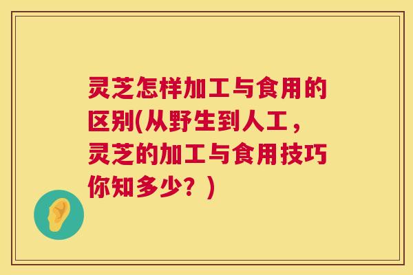 灵芝怎样加工与食用的区别(从野生到人工,灵芝的加工与食用技巧你知多少?) 第1张 灵芝怎样加工与食用的区别(从野生到人工,灵芝的加工与食用技巧你知多少?) 第1张