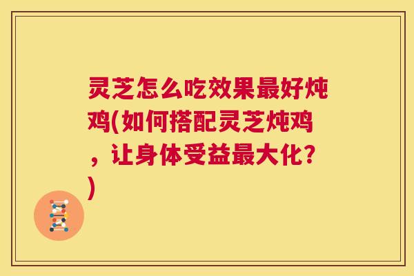 灵芝怎么吃效果最好炖鸡(如何搭配灵芝炖鸡,让身体受益最大化?) 第1张 灵芝怎么吃效果最好炖鸡(如何搭配灵芝炖鸡,让身体受益最大化?) 第1张