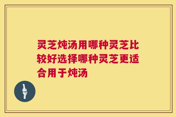 灵芝炖汤用哪种灵芝比较好选择哪种灵芝更适合用于炖汤 第1张 灵芝炖汤用哪种灵芝比较好选择哪种灵芝更适合用于炖汤 第1张