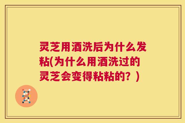 灵芝用酒洗后为什么发粘(为什么用酒洗过的灵芝会变得粘粘的?) 第1张 灵芝用酒洗后为什么发粘(为什么用酒洗过的灵芝会变得粘粘的?) 第1张
