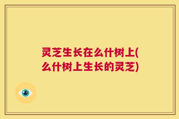 灵芝生长在么什树上(么什树上生长的灵芝) 第1张 灵芝生长在么什树上(么什树上生长的灵芝) 第1张