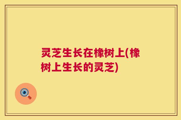 灵芝生长在橡树上(橡树上生长的灵芝)  第1张