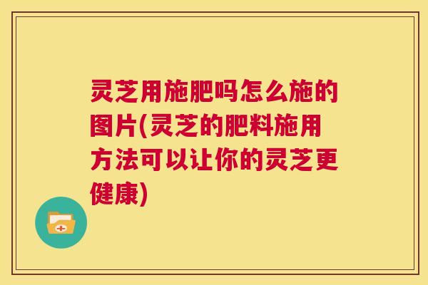 灵芝用施肥吗怎么施的图片(灵芝的肥料施用方法可以让你的灵芝更健康) 第1张 灵芝用施肥吗怎么施的图片(灵芝的肥料施用方法可以让你的灵芝更健康) 第1张