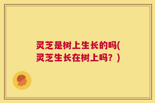 灵芝是树上生长的吗(灵芝生长在树上吗?) 第1张 灵芝是树上生长的吗(灵芝生长在树上吗?) 第1张