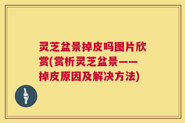 灵芝盆景掉皮吗图片欣赏(赏析灵芝盆景——掉皮原因及解决方法) 第1张 灵芝盆景掉皮吗图片欣赏(赏析灵芝盆景——掉皮原因及解决方法) 第1张