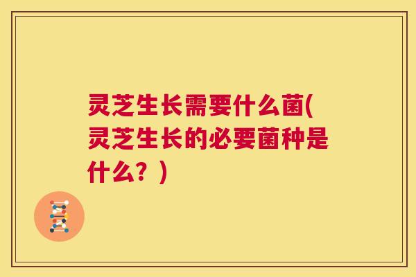 灵芝生长需要什么菌(灵芝生长的必要菌种是什么?) 第1张 灵芝生长需要什么菌(灵芝生长的必要菌种是什么?) 第1张