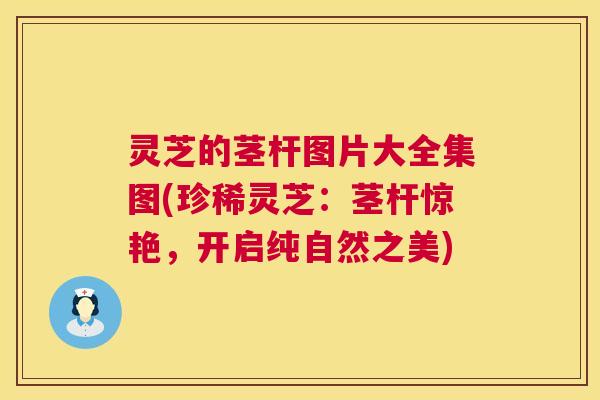 灵芝的茎杆图片大全集图(珍稀灵芝:茎杆惊艳,开启纯自然之美) 第1张 灵芝的茎杆图片大全集图(珍稀灵芝:茎杆惊艳,开启纯自然之美) 第1张