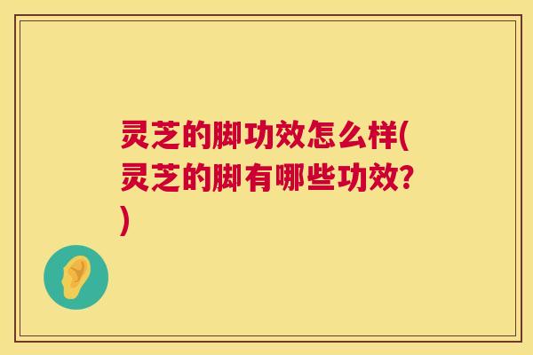 灵芝的脚功效怎么样(灵芝的脚有哪些功效?) 第1张 灵芝的脚功效怎么样(灵芝的脚有哪些功效?) 第1张