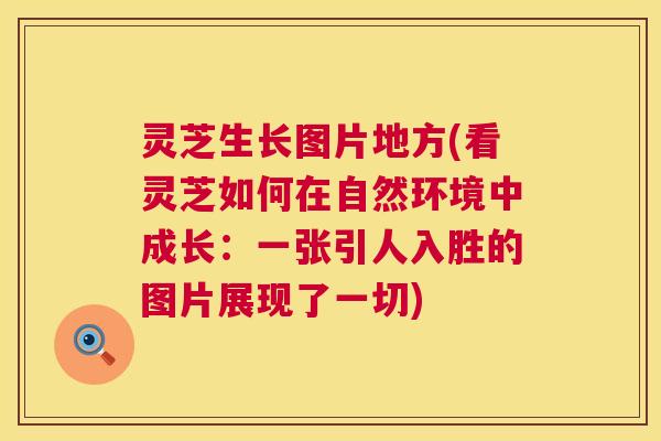 灵芝生长图片地方(看灵芝如何在自然环境中成长:一张引人入胜的图片展现了一切) 第1张 灵芝生长图片地方(看灵芝如何在自然环境中成长:一张引人入胜的图片展现了一切) 第1张