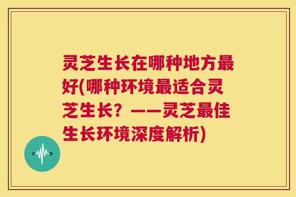 灵芝生长在哪种地方最好(哪种环境最适合灵芝生长？——灵芝最佳生长环境深度解析)  第1张