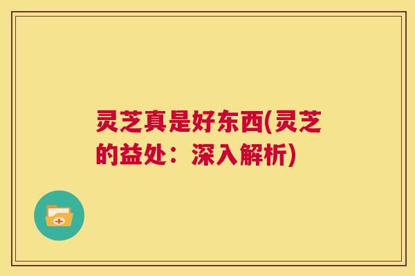 灵芝真是好东西(灵芝的益处：深入解析)  第1张