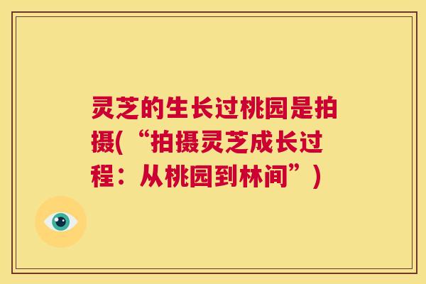 灵芝的生长过桃园是拍摄(“拍摄灵芝成长过程：从桃园到林间”)  第1张