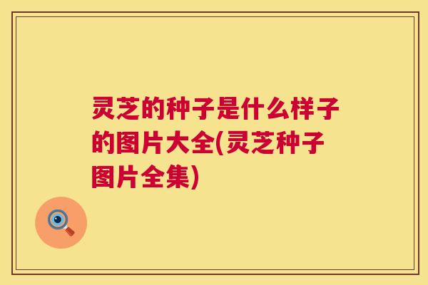 灵芝的种子是什么样子的图片大全(灵芝种子图片全集) 第1张 灵芝的种子是什么样子的图片大全(灵芝种子图片全集) 第1张
