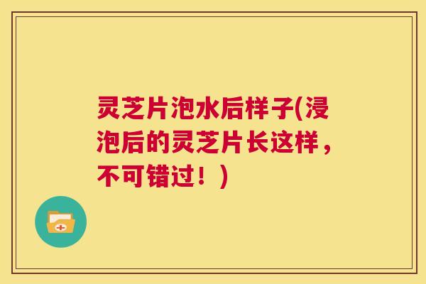 灵芝片泡水后样子(浸泡后的灵芝片长这样,不可错过!) 第1张 灵芝片泡水后样子(浸泡后的灵芝片长这样,不可错过!) 第1张