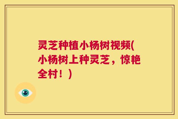 灵芝种植小杨树视频(小杨树上种灵芝，惊艳全村！)  第1张