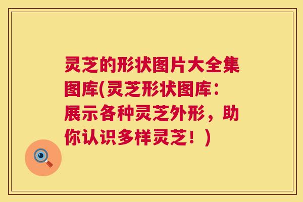 灵芝的形状图片大全集图库(灵芝形状图库:展示各种灵芝外形,助你认识多样灵芝!) 第1张 灵芝的形状图片大全集图库(灵芝形状图库:展示各种灵芝外形,助你认识多样灵芝!) 第1张
