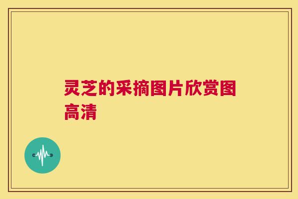 灵芝的采摘图片欣赏图高清 第1张 灵芝的采摘图片欣赏图高清 第1张
