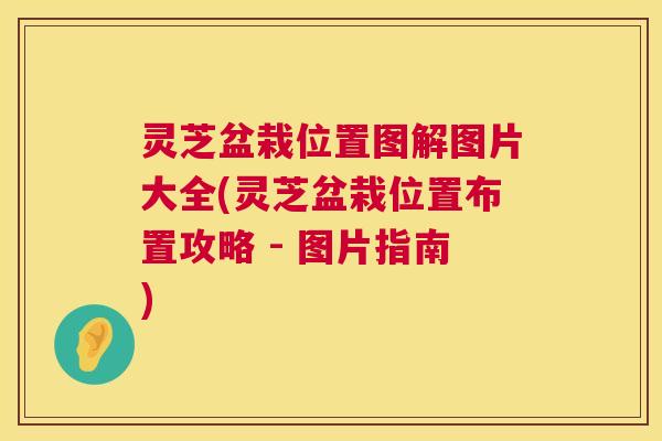 灵芝盆栽位置图解图片大全(灵芝盆栽位置布置攻略 - 图片指南) 第1张 灵芝盆栽位置图解图片大全(灵芝盆栽位置布置攻略 - 图片指南) 第1张