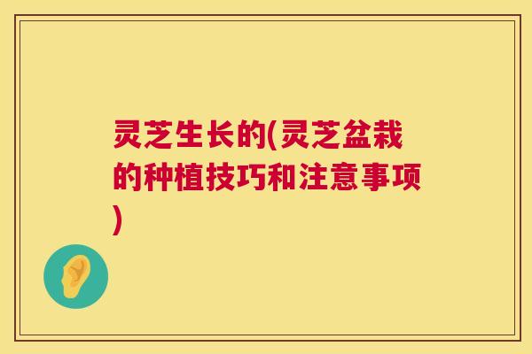 灵芝生长的(灵芝盆栽的种植技巧和注意事项) 第1张 灵芝生长的(灵芝盆栽的种植技巧和注意事项) 第1张