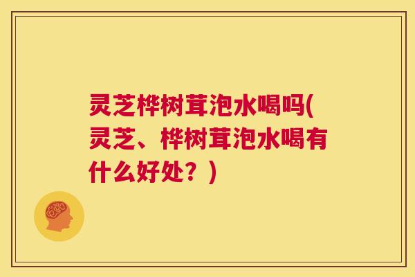 灵芝桦树茸泡水喝吗(灵芝、桦树茸泡水喝有什么好处?) 第1张 灵芝桦树茸泡水喝吗(灵芝、桦树茸泡水喝有什么好处?) 第1张