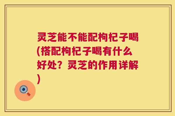 灵芝能不能配枸杞子喝(搭配枸杞子喝有什么好处?灵芝的作用详解) 第1张 灵芝能不能配枸杞子喝(搭配枸杞子喝有什么好处?灵芝的作用详解) 第1张