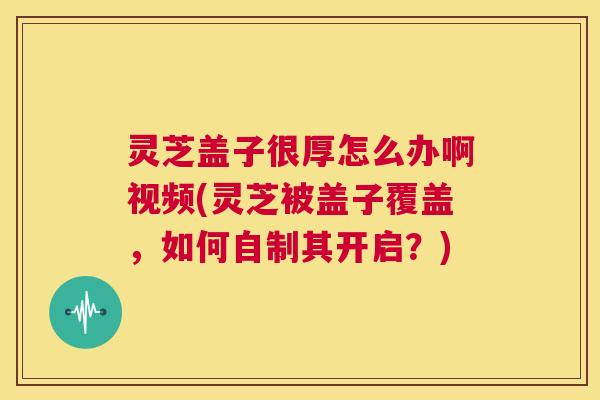 灵芝盖子很厚怎么办啊视频(灵芝被盖子覆盖,如何自制其开启?) 第1张 灵芝盖子很厚怎么办啊视频(灵芝被盖子覆盖,如何自制其开启?) 第1张